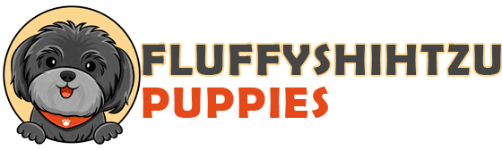 FLUFFY SHIHTZU PUPPIES